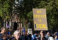 Anti Brexit demonstrators / protesters in London on October 19 2019